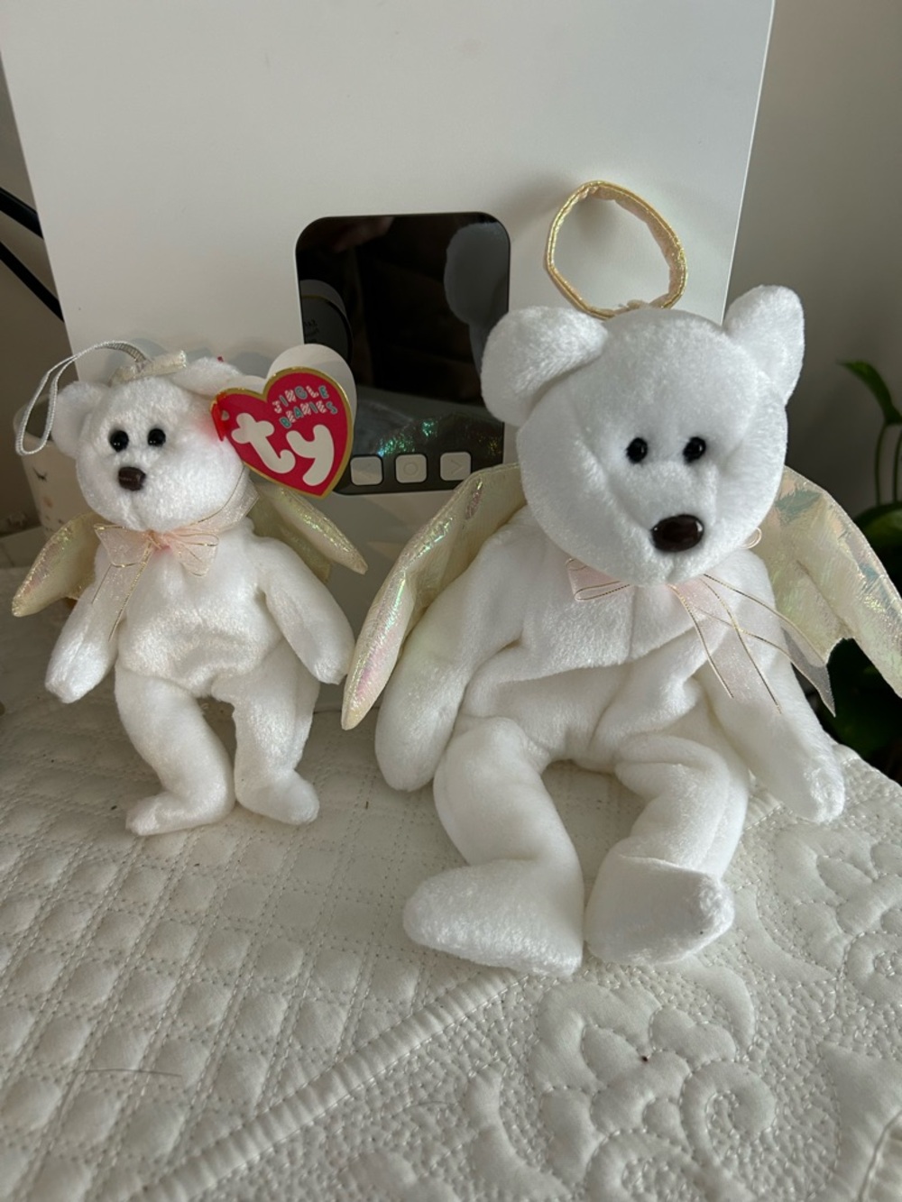 Ty Beanie Baby “Halo” the Angel & “Halo” Jingle beanie